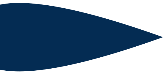 Navi IA